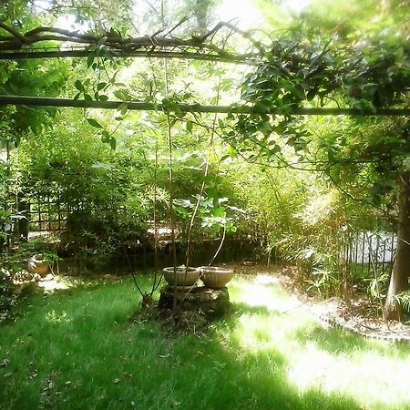 Charming Maisonette Поліхроно Екстер'єр фото