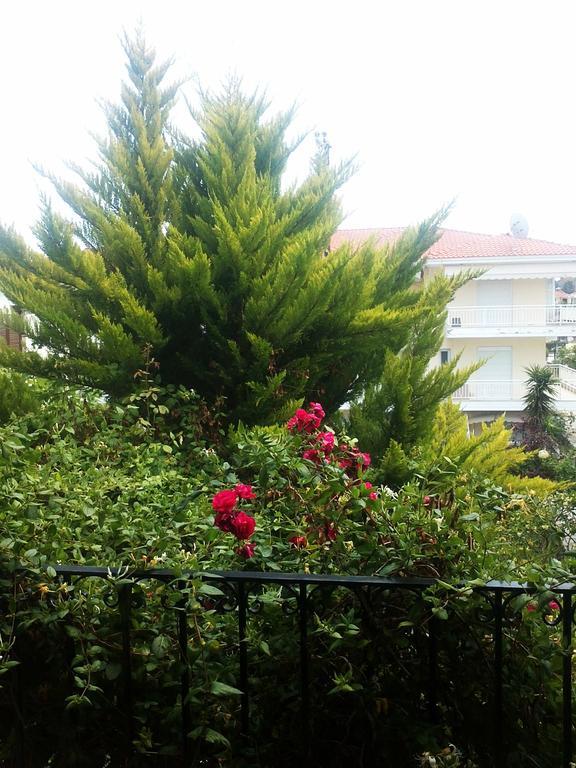 Charming Maisonette Поліхроно Екстер'єр фото